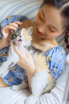 衣袖红镶边 电视剧